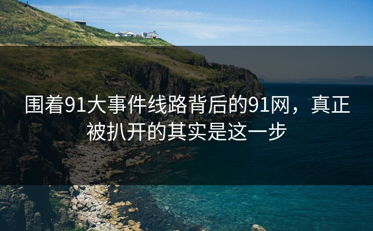 围着91大事件线路背后的91网,真正被扒开的其实是这一步