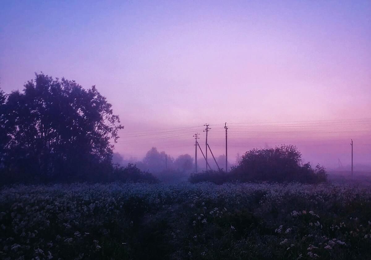 当事人在凌晨两点遭遇mogutv 心跳,蘑菇影视在线观看全网炸锅,详情点击