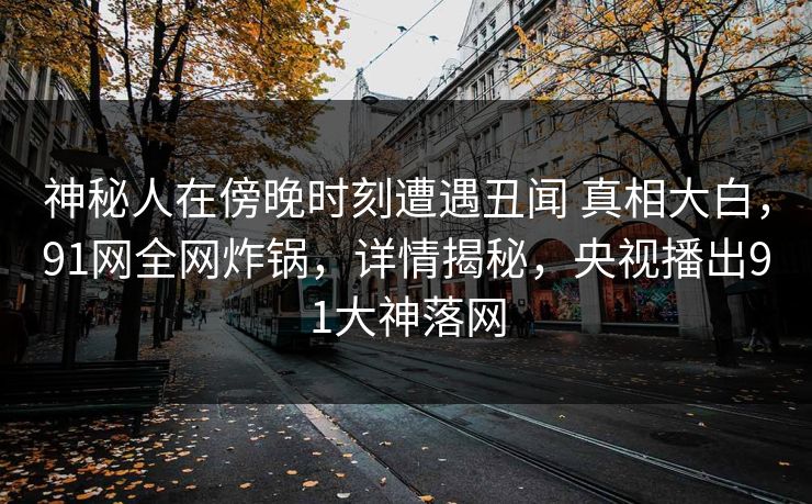 神秘人在傍晚时刻遭遇丑闻 真相大白，91网全网炸锅，详情揭秘，央视播出91大神落网