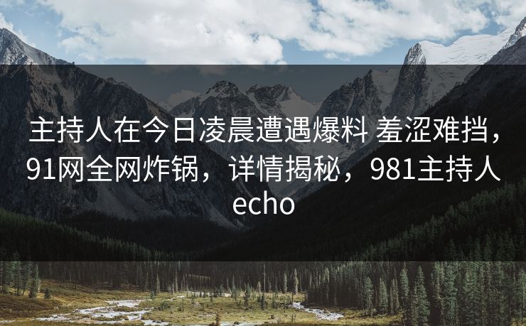 主持人在今日凌晨遭遇爆料 羞涩难挡，91网全网炸锅，详情揭秘，981主持人echo