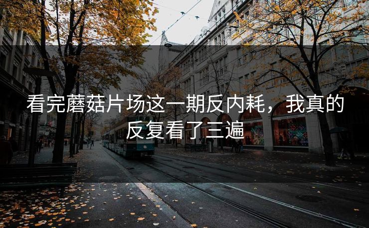 看完蘑菇片场这一期反内耗，我真的反复看了三遍